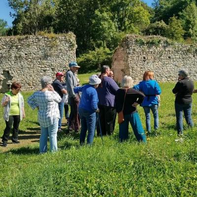 Dans la cour du château